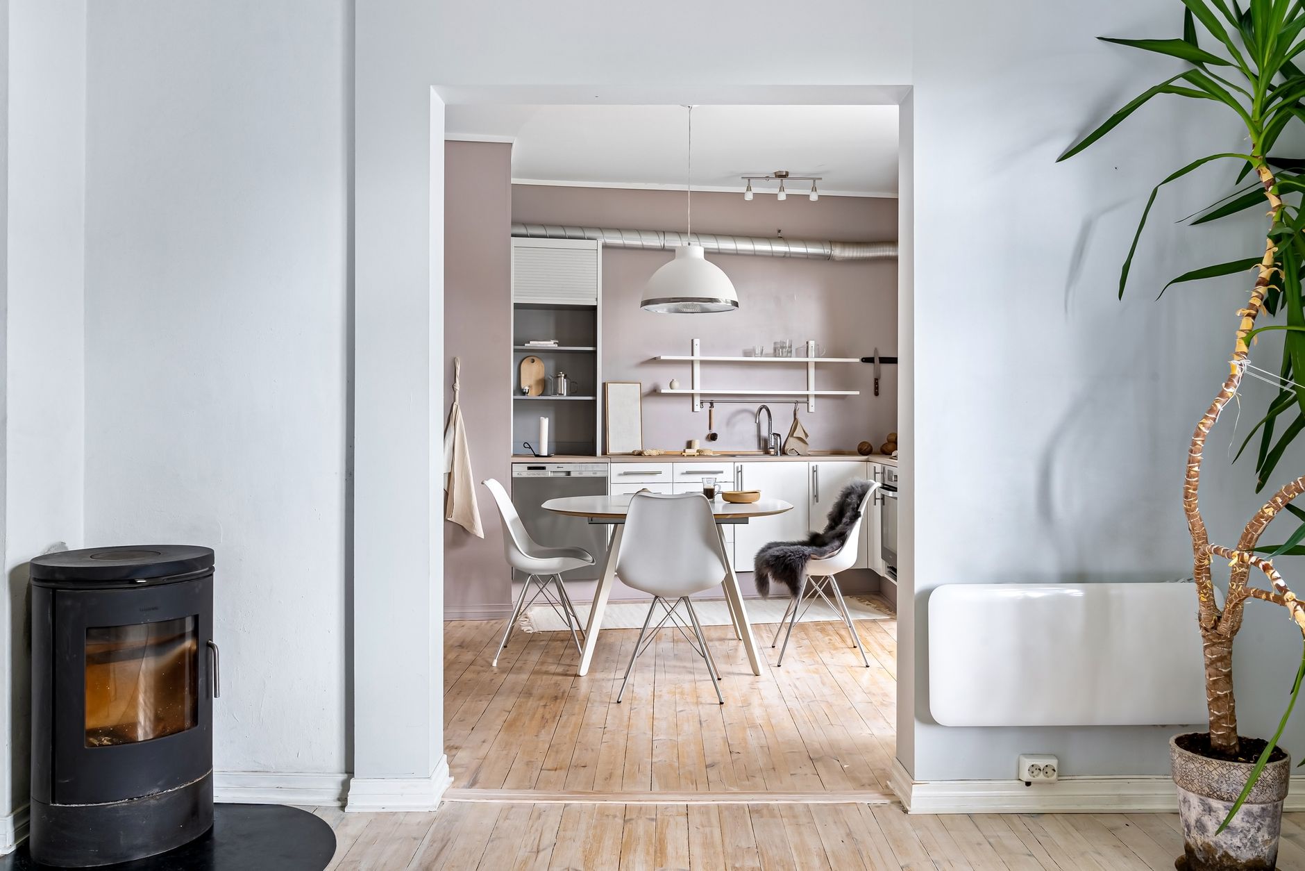 Svijetla skandinavska kuhinja Istra s furnirom jasena
